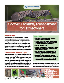 Spotted Lanternfly Management for Homeowners